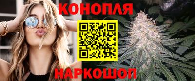 ECSTASY Бердск