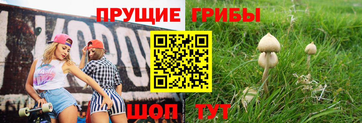 Новоалександровск  закладка  Вход с VPN  Галлюциногенные грибы прущие грибы 