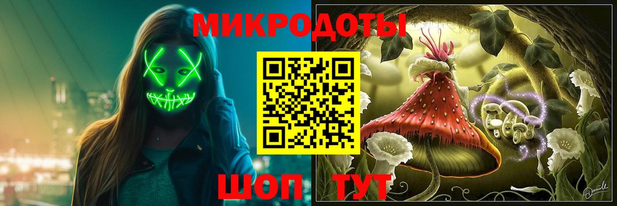 Псилоцибиновые грибы Psilocybine cubensis Новоалександровск